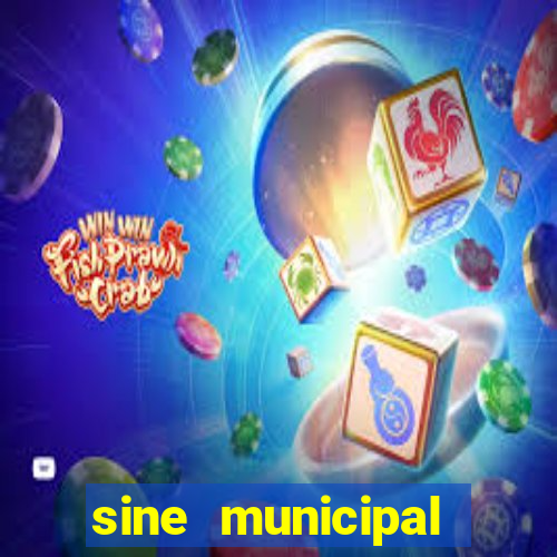 sine municipal porto velho